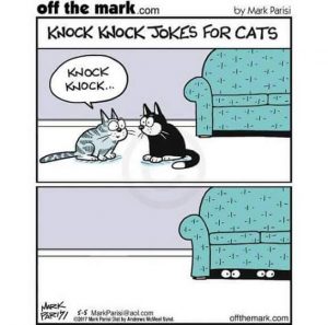 Timid cats will often hide with strangers