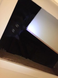 Photo - Chloe foster cat with Tc Ezgi Matar - MN - thought escaped but was in roof; holes in roof to put ceiling fans in