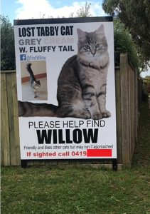 Willow's second, professionally-printed billboard. It says 'Lost tabby cat. Grey/cream with fluffy tail. Please help find Willow. Friendly and likes other cats but may run if approached. If sighted, call 04xx xxx xxx.