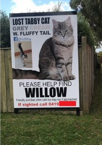 Willow's second, professionally-printed billboard. It says 'Lost tabby cat. Grey/cream with fluffy tail. Please help find Willow. Friendly and likes other cats but may run if approached. If sighted, call 04xx xxx xxx.