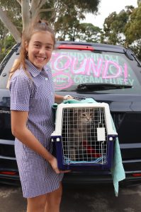 Julianne's daughter, Sienna, beams after collecting Willow from the shelter. Their car tag has a big 'found' written over it.
