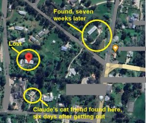 Satellite map showing where Claude and his cat friend were lost from and where they were found